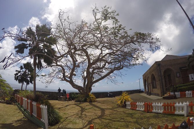Highlights of Tobago Tour - Getting there: where pickup can make or break the morning