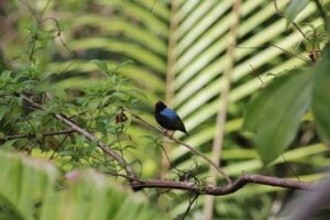 Individuelle Regenwald Tour - Why Shurland Nature Park is more than a quick stop