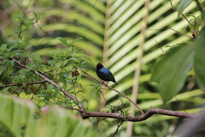 Individuelle Regenwald Tour - Why Shurland Nature Park is more than a quick stop