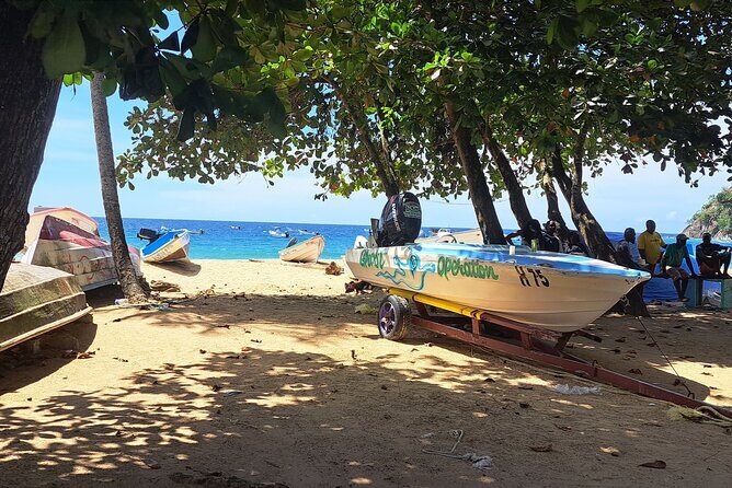 Island Tour (Food and Drinks include) - Why This Tobago Island Tour Packs So Much In