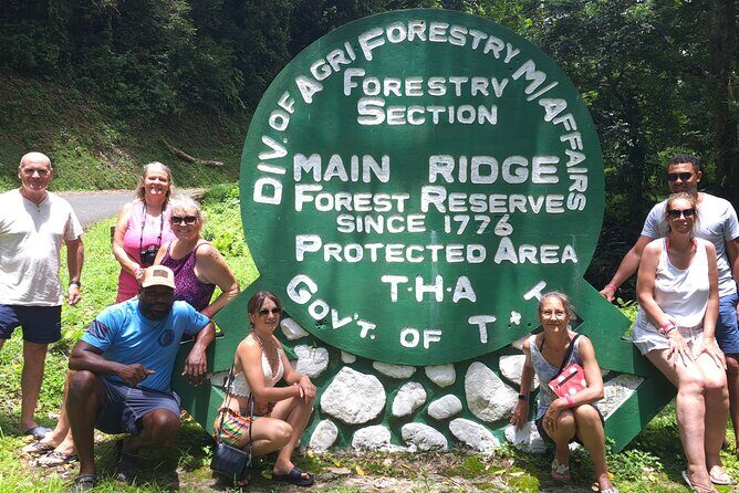 Island Tour (Food and Drinks include) - Rainforest, Waterfalls, and Bird Watching Stops