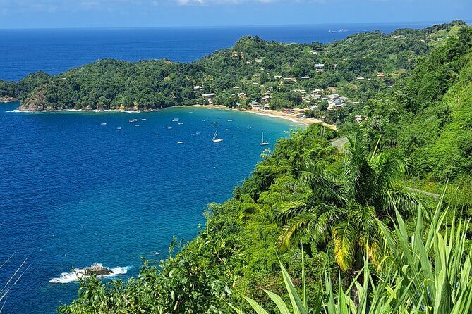 Island Tour (Food and Drinks include) - Beach Time: Englishman’s Bay and Castara