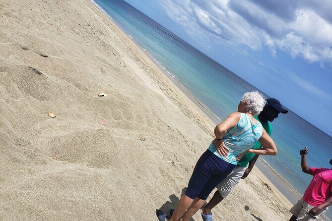 Island Tours of Tobago - Fort King George and Fort Granby: two forts, two different vibes
