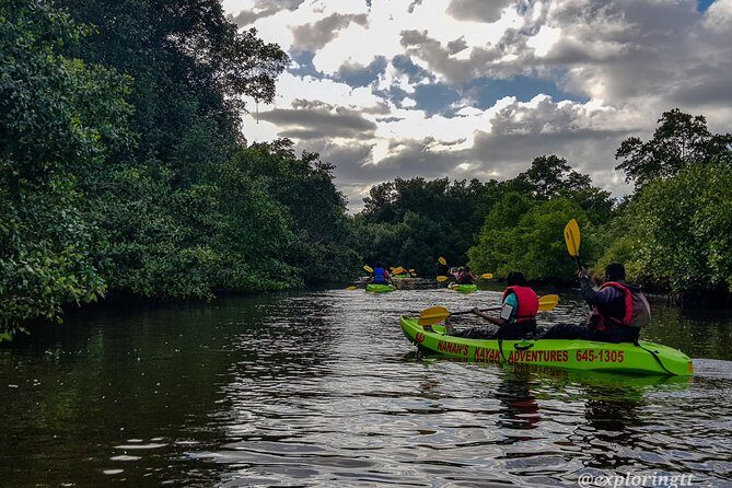 Kayak Adventure in the Second Largest Swamp of Trinidad and Tobago - Getting to the water: Port of Spain pickup and the meeting spot
