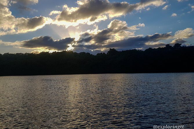 Kayak Adventure in the Second Largest Swamp of Trinidad and Tobago - Birds, flamingos, and the realism of wildlife spotting