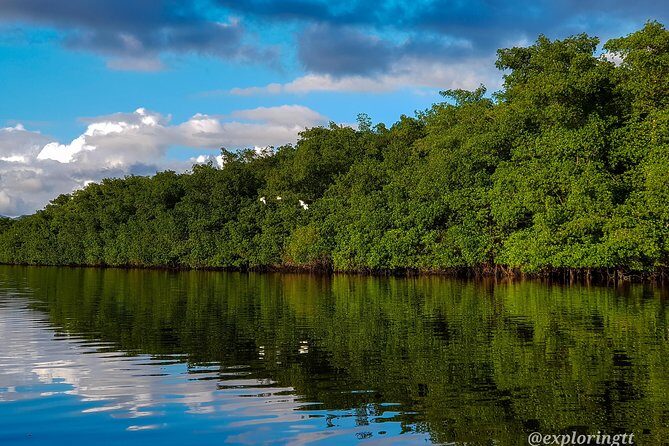Kayak Adventure in the Second Largest Swamp of Trinidad and Tobago - Physical effort: kayaking across open water can feel like a workout