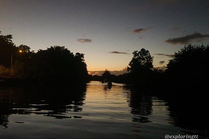 Kayak Adventure in the Second Largest Swamp of Trinidad and Tobago - Price and value: what $200 really buys you