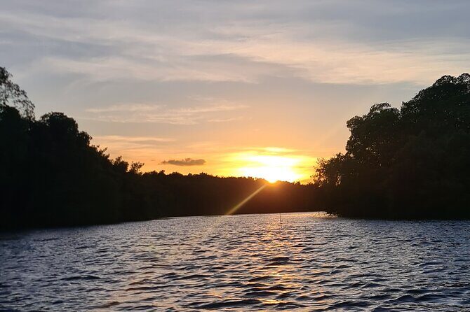 Kayak Adventure in the Second Largest Swamp of Trinidad and Tobago - When to go and how to handle the heat