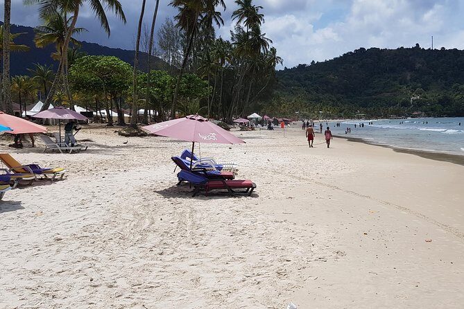 Maracas Beach - Key Things That Make This Maracas Beach Tour Worth It