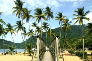 Maracas Beach Excursion & City Pass by tour - Red House and Woodford Square: Civic Trinidad by the Window