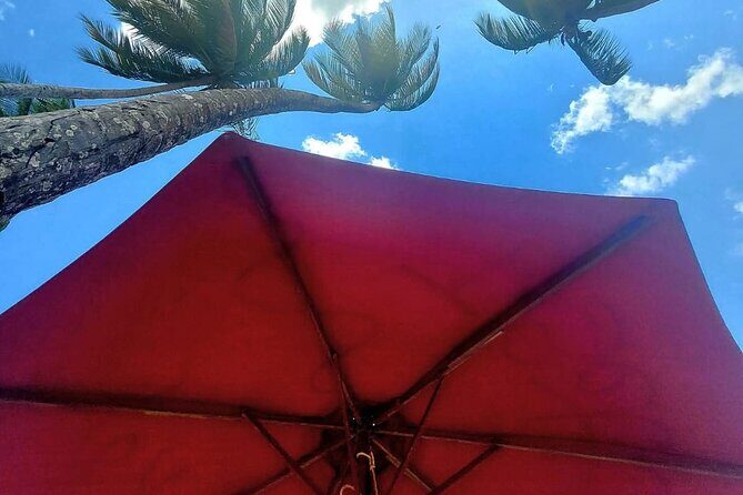 Maracas Beach Excursion & City Pass by tour - Pace, Safety Feeling, and What to Expect From the Host