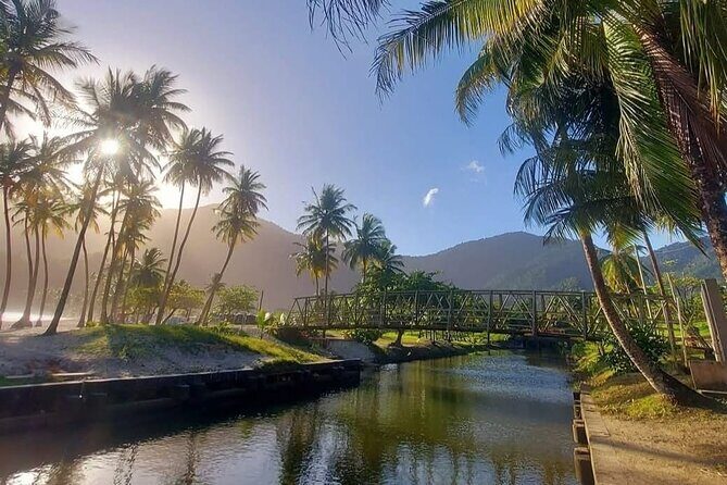 Maracas Beach Excursion & City Pass by tour - Practical Tips So Your Day Feels Easy