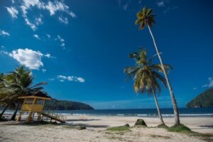 Maracas Beach Trip - Maracas Lookout: Scenic Views with a Pause Built In