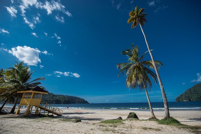Maracas Beach Trip - Maracas Lookout: Scenic Views with a Pause Built In