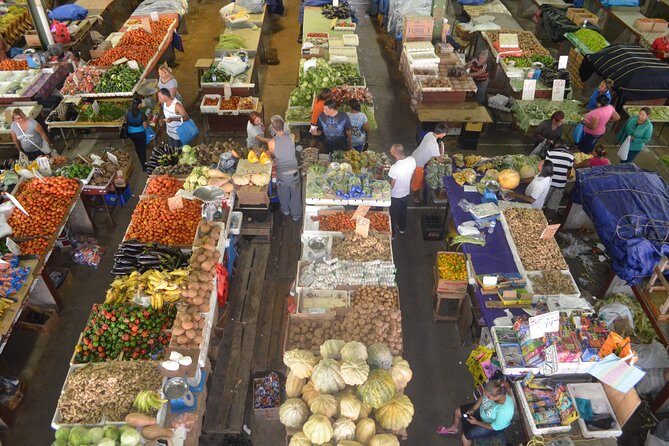Mini Island Tour of Trinidad - Key moments worth planning for