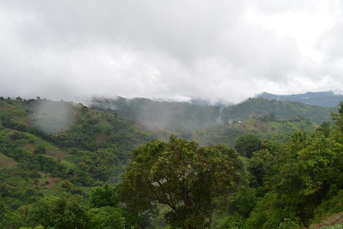 Mountain Village Adventure - Paramin Valley Views: Why This Trip Is Worth the Climb