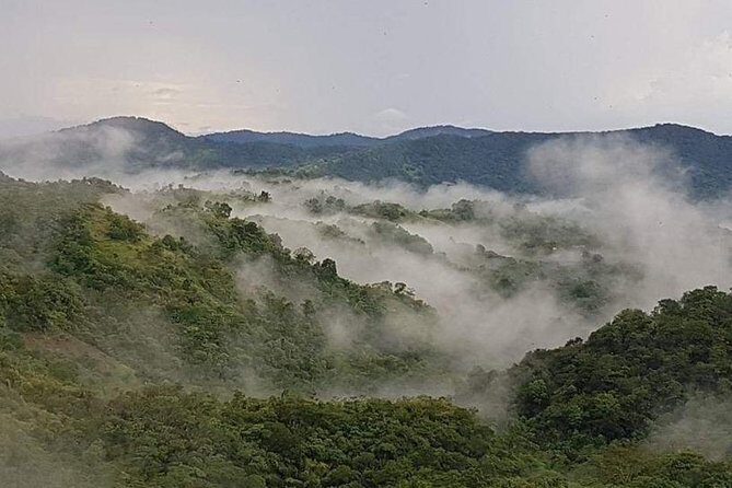 Paramin Jeep Tour in Trinidad - What you’re really paying for: value in the included items