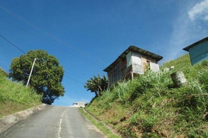 Paramin Jeep Tour in Trinidad - Communication and timing: how to avoid the nightmare scenario