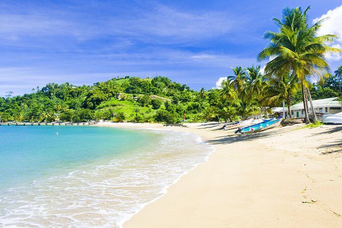 Partlatuvier Bay Day Trip with Lunch - Why the Partlatuvier Bay plan works so well in Tobago