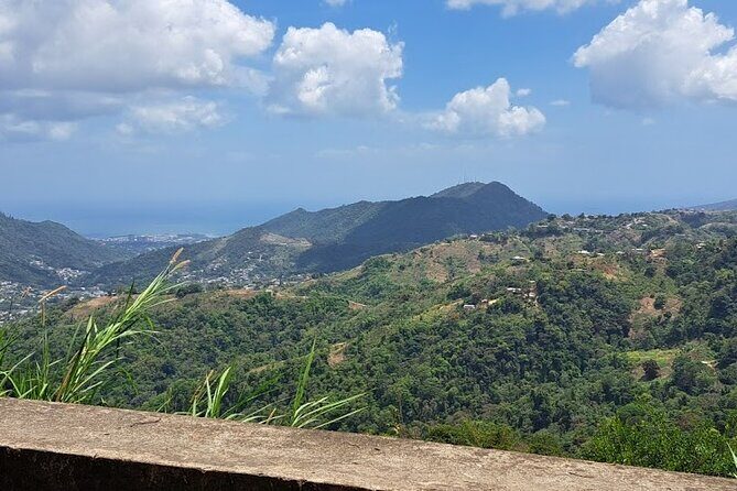 Personalized Private Tour The Paramin Hills - Stop: the Paramin Hills scenic drive and hilltop looking-down moments