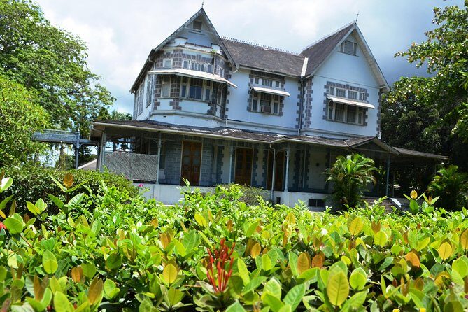 Port of Spain and Fort George Sightseeing Tour - Museum of Natural History (when available): a short culture hit