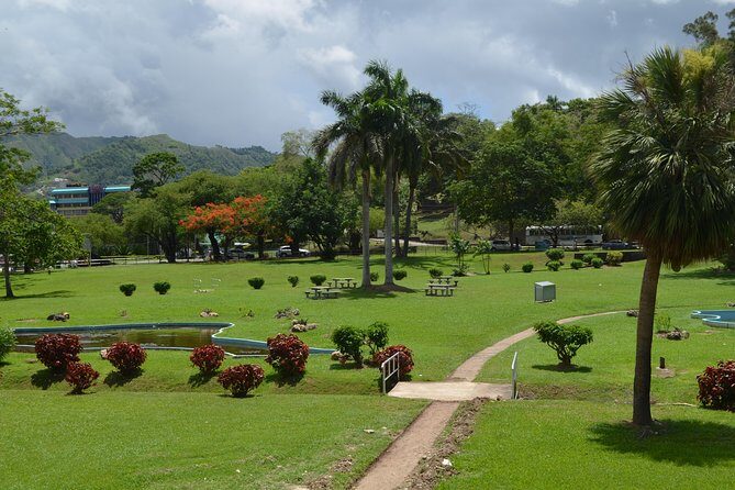 Port of Spain and Fort George Sightseeing Tour - Royal Botanic Gardens: where the tour slows down