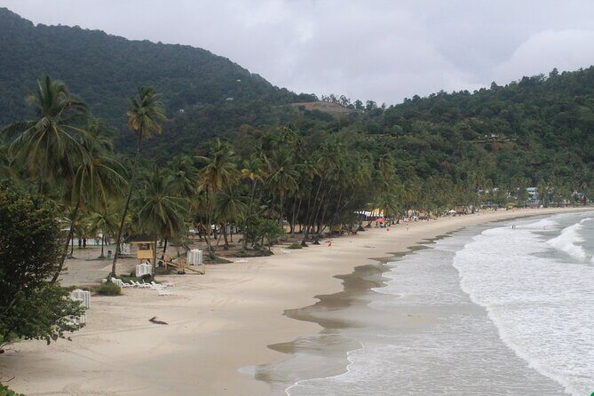 Port of Spain City Highlights and Maracas Beach - Who this tour fits best