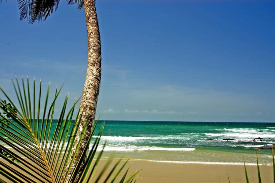 Port of Spain: Coastal Tour of Trinidad - North Coast Road: the drive that sets the mood fast