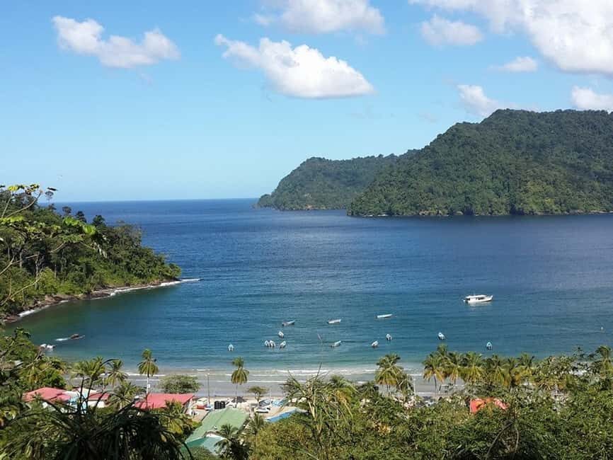 Port of Spain: Coastal Tour of Trinidad - Bake and fish by the water: a simple Trinidad snack you can time well