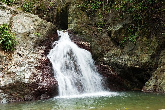 Rainforest Tour - What’s included (and what it actually means for you)