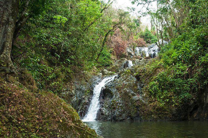 Rainforest Tour - What to bring for comfortable photos and safer steps