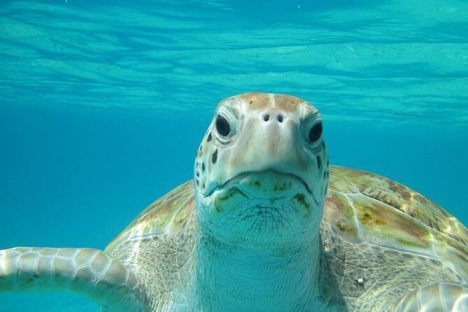 Snorkeling Tour (with Light Refreshments) - Key things I’d plan around