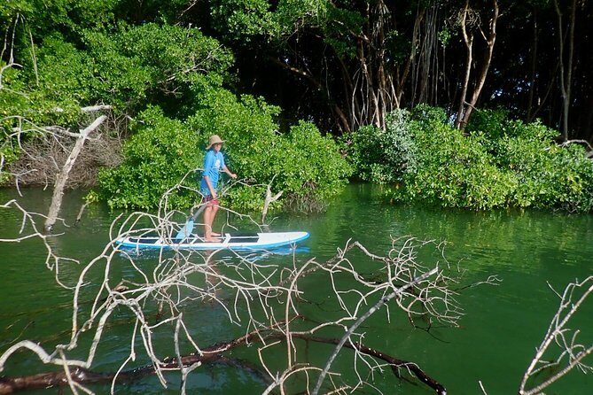 Stand Up Paddle Lessons - Who this SUP lesson is best for