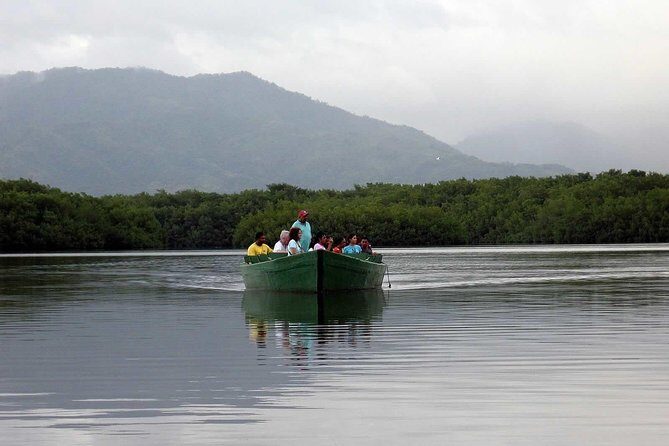 Sunset Boat Tour into Caroni Wetlands - The 4-hour flow: how your afternoon actually plays out