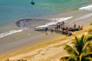 The Grand Circle 12-Hour All-Inclusive Island Experience - Price and Value at $400 Per Person