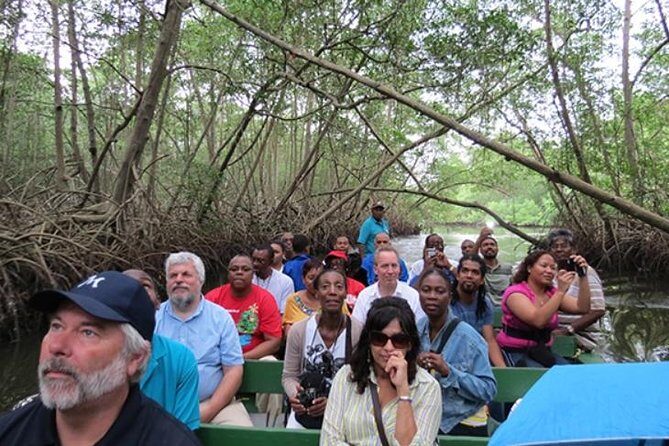 The Scarlet Ibis - Caroni Swamp Tour - Key Highlights You’ll Care About