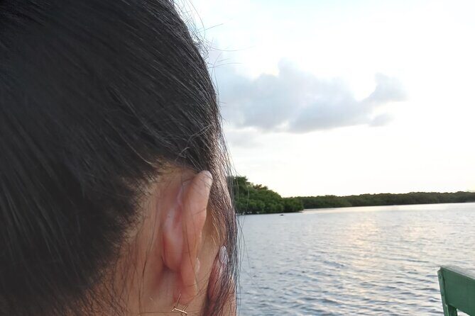 The Scarlet Ibis - Caroni Swamp Tour - Price and Value: What $55 Really Buys You
