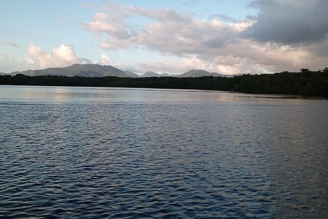 The Scarlet Ibis - Caroni Swamp Tour - Guides and Service: The Human Factor That Shows Up