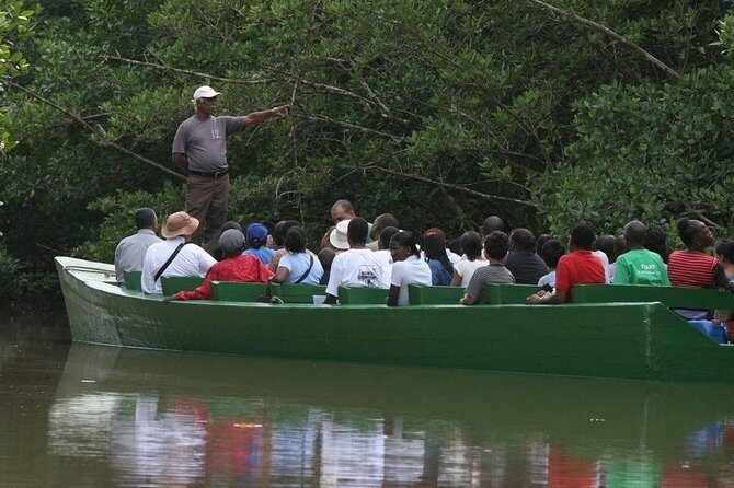 The Scarlet Ibis - Caroni Swamp Tour - Your Timing: Why the 3:00 PM Start Fits Caroni