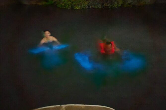 The ULTIMATE Bioluminescence night time adventure with Brandon - Buccoo Point and the Night Cruise Through Mangroves