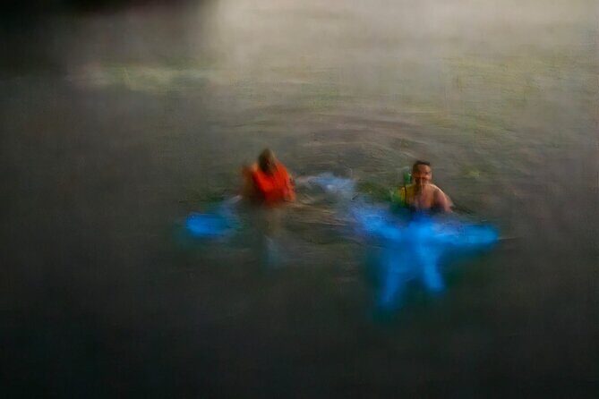 The ULTIMATE Bioluminescence night time adventure with Brandon - Price, Group Size, and Real Value at $170 per Person