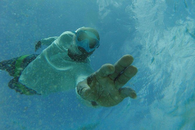 The ULTIMATE Bioluminescence night time adventure with Brandon - Should You Book Fish Tobago Tours with Brandon?