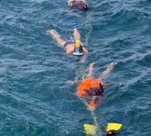 Tobago: Buccoo Reef and Nylon Pool Boat Tour with Transfer - Glass-Bottom Boat, Coral Gardens, and a Real Swim Break