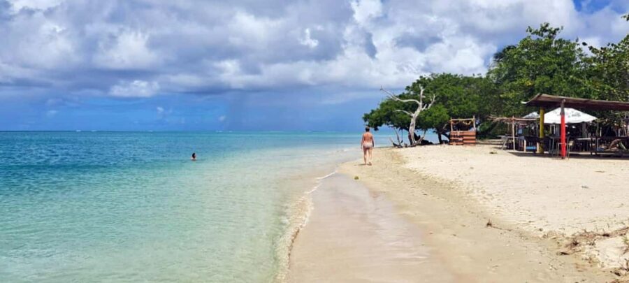 Tobago: Buccoo Reef and Nylon Pool Boat Tour with Transfer - Coral Gardens and Snorkeling: Warm Water, Fish, and Boat-Led Safety