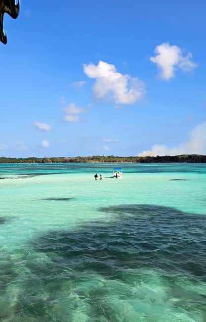 Tobago: Buccoo Reef and Nylon Pool Boat Tour with Transfer - Timing Back to Buccoo: Ending With One More View