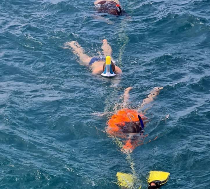 Tobago: Buccoo Reef and Nylon Pool Boat Tour with Transfer - Glass-Bottom Boat, Coral Gardens, and a Real Swim Break