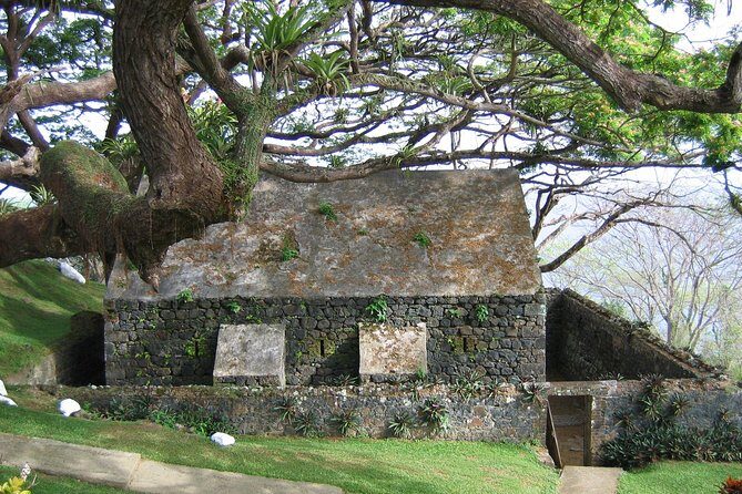 Tobago Buccoo Reef Glass Bottom Boat Cruise and Island Sightseeing Tour - Store Bay and Coastal Driving: The Scenic Reset Before the Long Ride Back