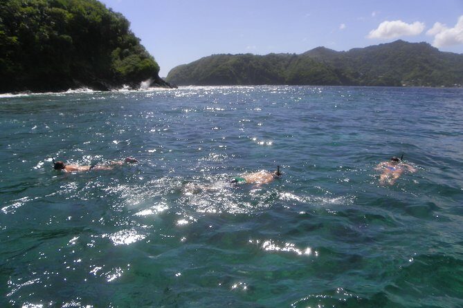 Tobago Buccoo Reef Glass Bottom Boat Cruise and Island Sightseeing Tour - Price and Value: Is $110 Worth It?