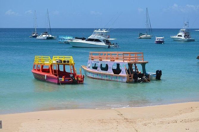 Tobago Buccoo Reef Glass Bottom Boat Cruise and Island Sightseeing Tour - Plymouth and the Mystery Tombstone: a Short Stop with Real Atmosphere