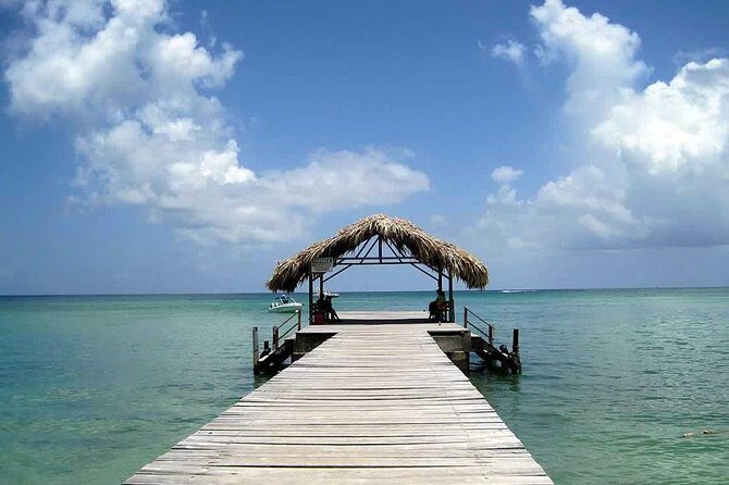 Tobago Buccoo Reef Glass Bottom Boat Tour - Stop 1: Buccoo Reef—coral gardens, then snorkeling in real sea conditions